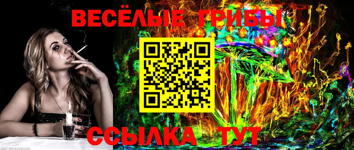 Псилоцибиновые грибы GOLDEN TEACHER Кызыл