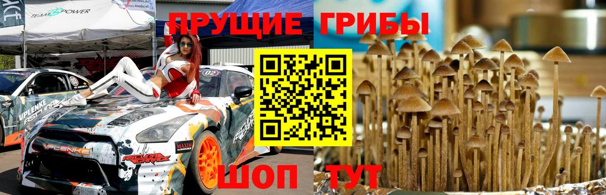 Галлюциногенные грибы Magic Shrooms  Вход с VPN  Кызыл 
